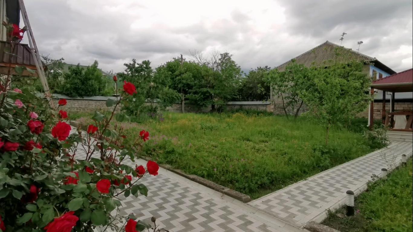 Bereket Villa And Aparts Gabala Esterno foto